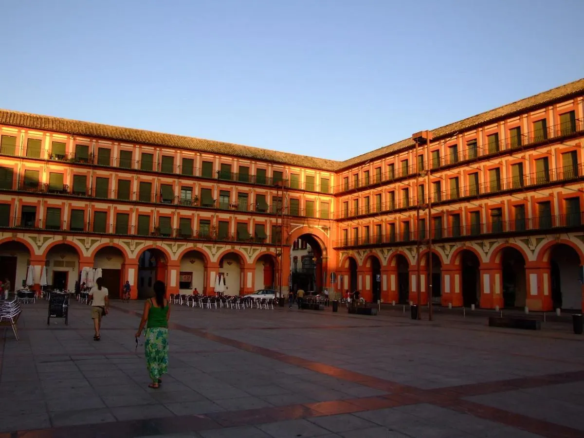 Nuevo Loft Centrico Parking Gratuito Apartment Cordoba Spain